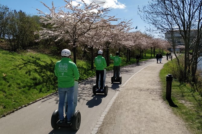 1 Hour Copenhagen Segway Tour - Amalienborg puts you at the royal center