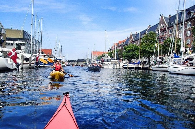 2 Hours Guided Kayak Tour in Copenhagen Harbor - What the guide adds to the experience