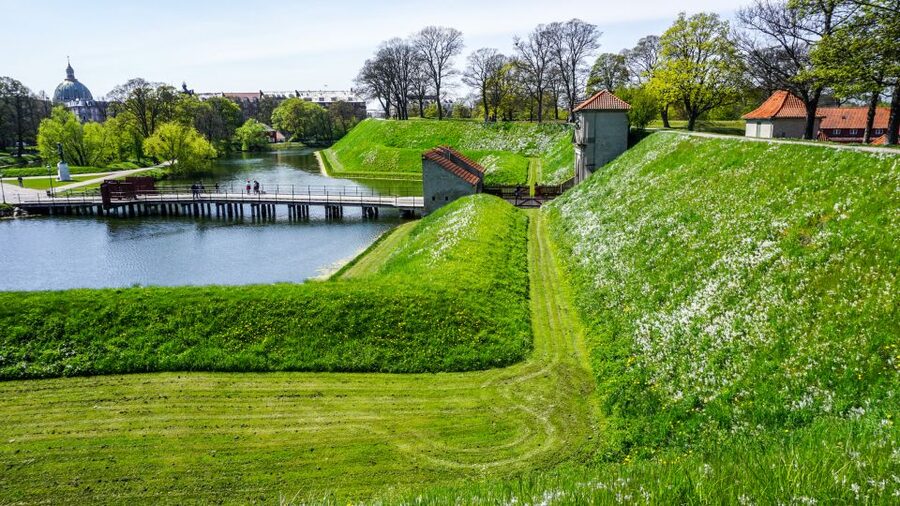 3-Hour Private Copenhagen Walking Tour - Amalienborg Palace and the Marble Church