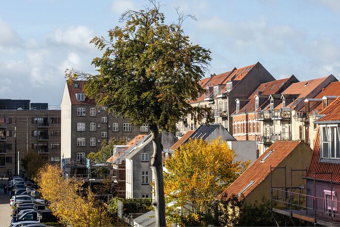 Aarhus Private Custom Walking Tour With A Guide - Latinerkvarteret: colorful streets and café breaks