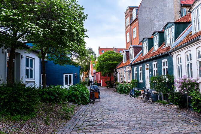 Aarhus Private Walking Tour with a Local - Food stops and rooftop views