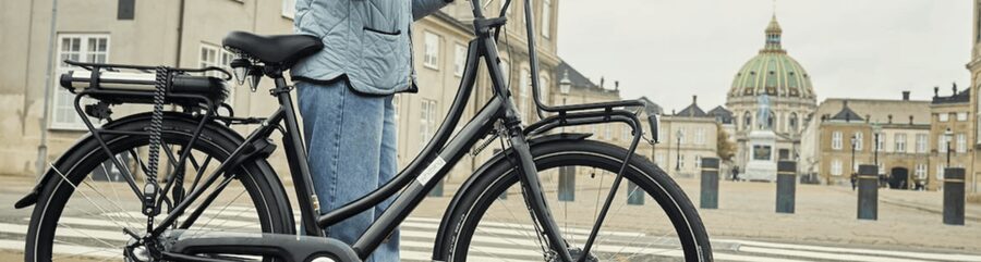Copenhagen: 3 Hour Extended Grand E-Bike Guided Tour - The Little Mermaid and Kastellet