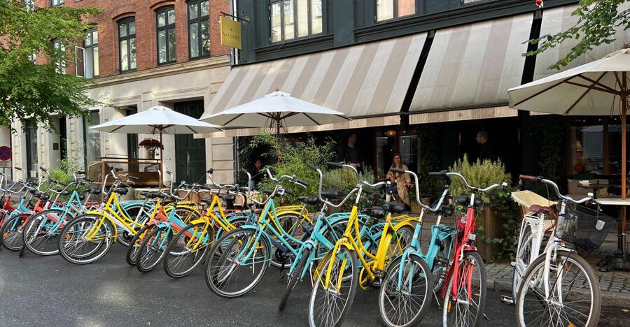 Copenhagen: City Highlights Guided Bike Tour - The guides make the difference