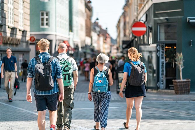 Copenhagen City Private Walking Tour - Amalienborg and the current royal household