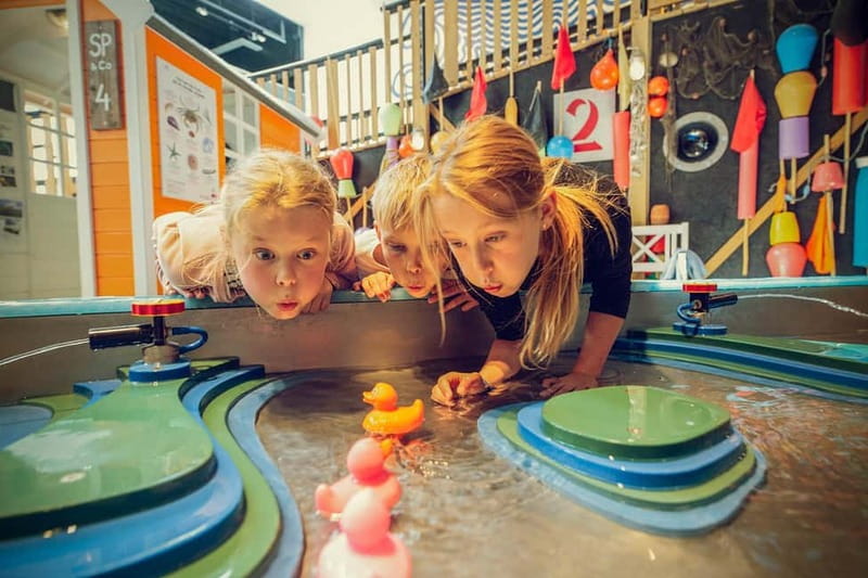 Copenhagen: Experimentarium Science Center Entry Ticket - How the Themed Exhibitions Shape Your Visit