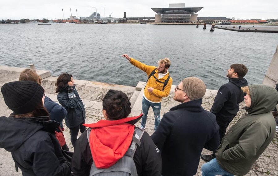 Copenhagen: Group Walking Tour - City Highlights - 2 Hours - Amalienborg Palace and the royal finish