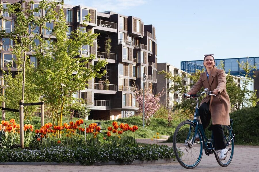 Copenhagen: Guided Architecture and Sustainability Tour - Blox and Lille Langebro: design beside the harbor