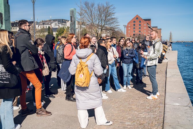 Copenhagen Highlights Walking Tour - Amalienborg and the noon guard change