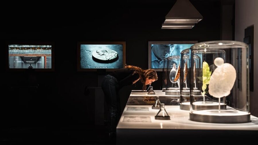 Copenhagen: Home of Carlsberg Experience Entry Ticket - How long to allow, and how to plan your day