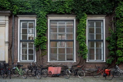 Photography Masterclass – Private Photo Lesson