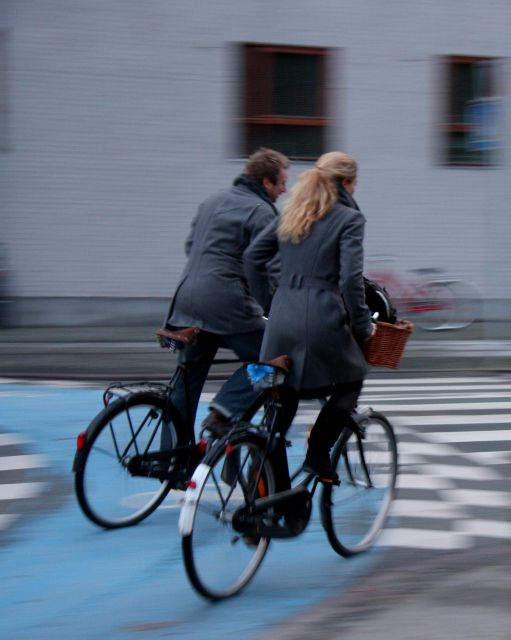 Copenhagen Private 3h biking tour - Who will enjoy this ride most