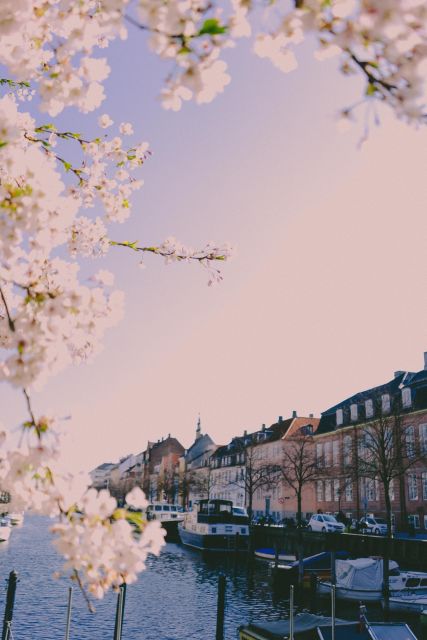 Copenhagen Private 3h biking tour - Price, private attention, and overall value