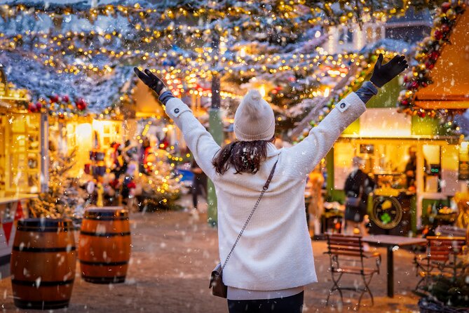 Copenhagen Private Christmas Walking Tour with Gløgg - Stork Fountain: pastries, performances, and a pause in the route