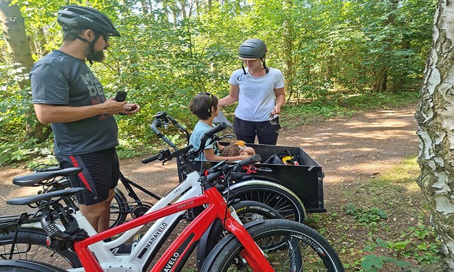 Copenhagen: Private Forgotten Giants E-Bike Treasure Hunt - Albertslund and the return toward Copenhagen
