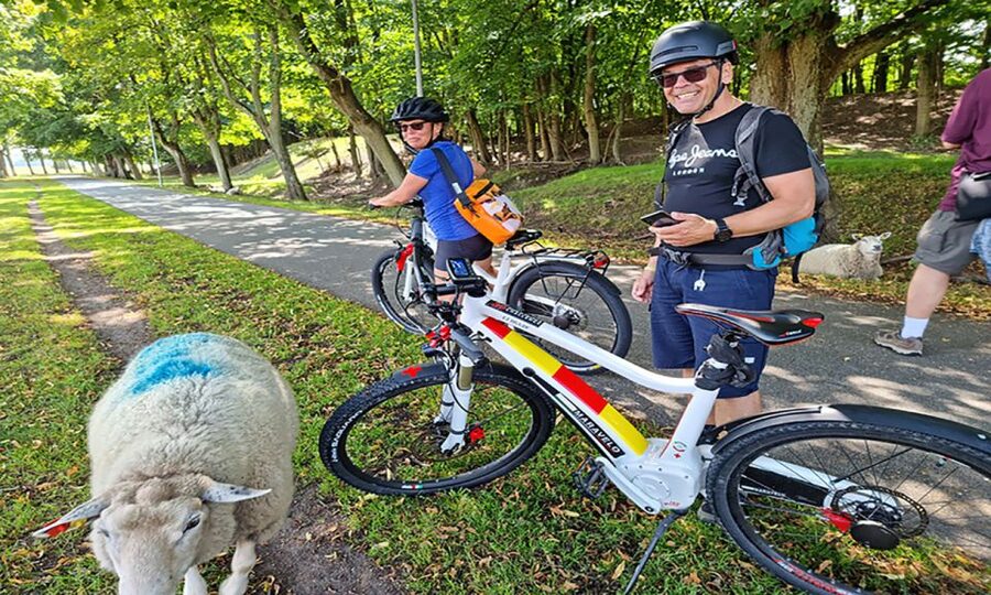 Copenhagen: Private Forgotten Giants E-Bike Treasure Hunt - What the private format is worth at $213