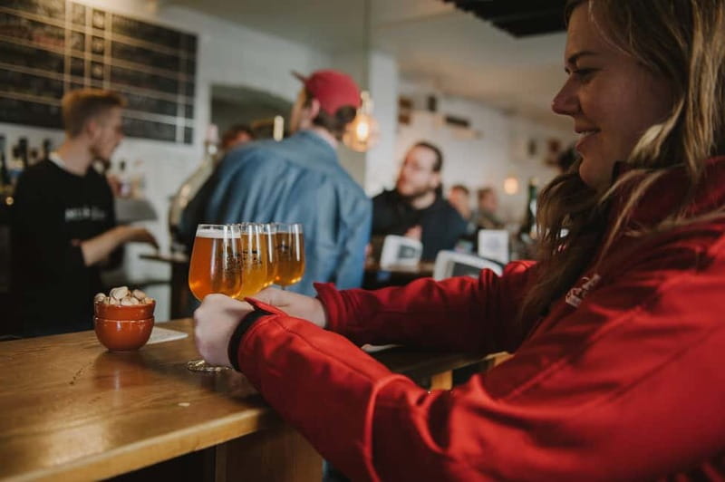 Copenhagen: Small Group Neighborhood Tour with Beer & Pubs - What the three-hour format really offers