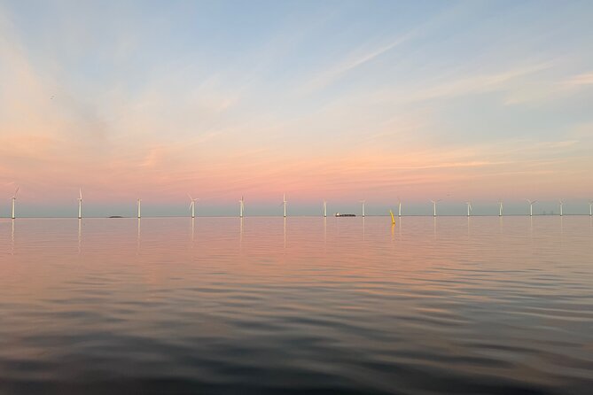 Discover Copenhagen Private Boat Tour Experience - The mast crane, powder road, and Reffen