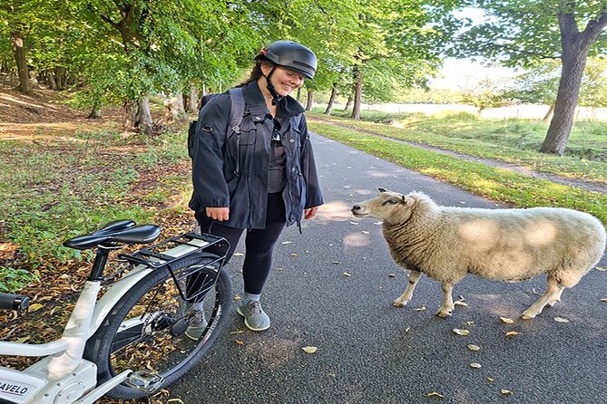 E-biking Northern Forgotten Giants' s Adventure - What the private guide adds