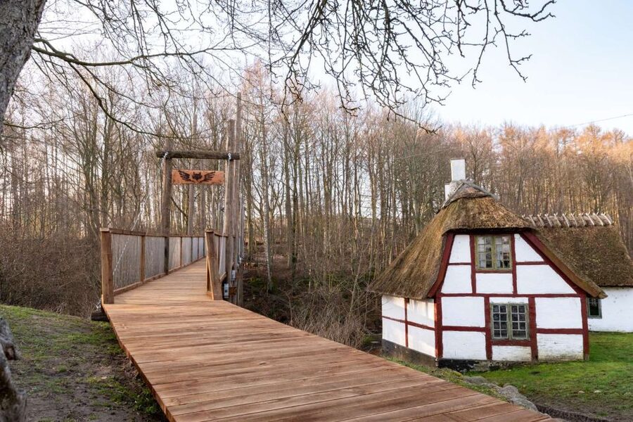 From Copenhagen: Round-Trip to Møns Klint and Forest Tower - Who will enjoy this day trip most?