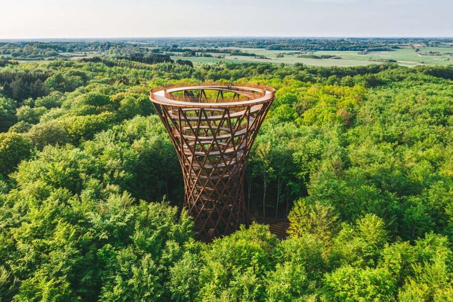 From Copenhagen: Round-Trip to Møns Klint and Forest Tower - Møns Klint is the day’s great reward