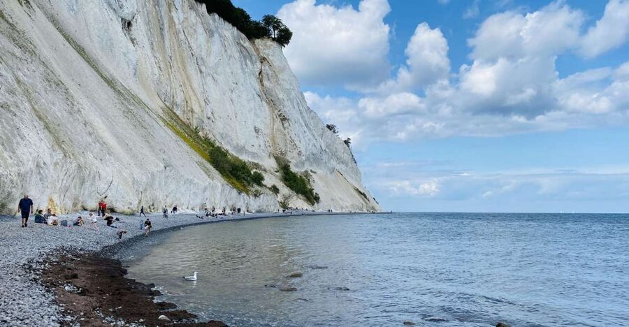 From Copenhagen: Round-Trip to Møns Klint and Forest Tower - The return journey and the value of the minibus