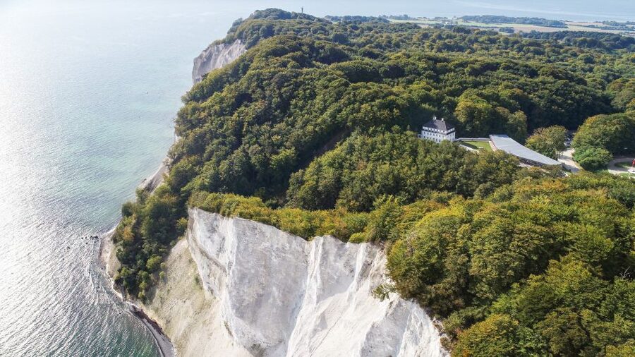 From Copenhagen: Round-Trip to Møns Klint and Forest Tower - Forest Tower: a gentle climb above the trees
