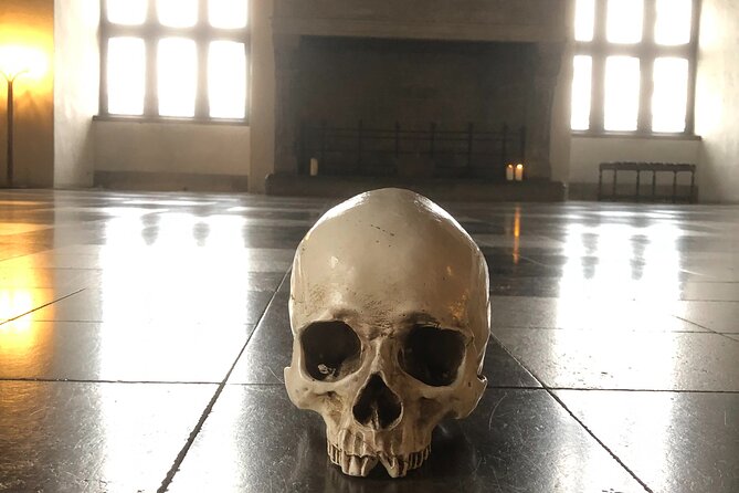 Full-Day; Castle, Palace, Cathedral & Viking ships Tour - Kronborg Castle: Hamlet, cannons, and royal power