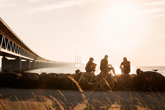 Malmö & Lund Tour, Crossing the Øresund Bridge to Sweden - Is $114.04 a fair price?
