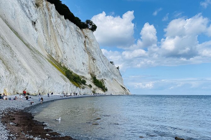 Møns klint and The Forest tower - A day tour from Copenhagen - Key points to know before booking