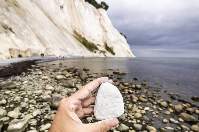 Møns klint and The Forest tower - A day tour from Copenhagen - Who will enjoy this outing most?