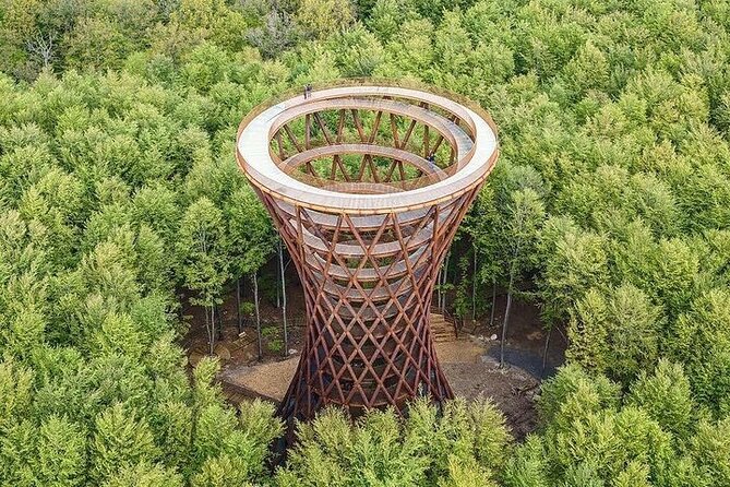Møns klint and The Forest tower - A day tour from Copenhagen - Camp Adventure and the Forest Tower in two hours