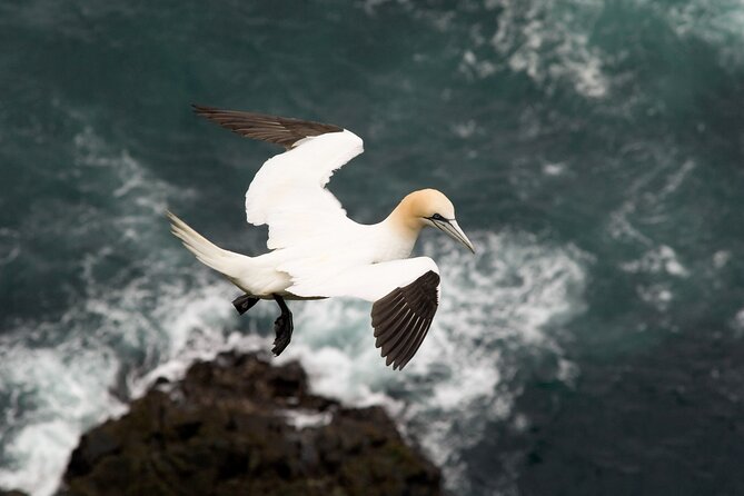 Mykines Private Hike and Tour Adventure - Walking through the small Mykines village