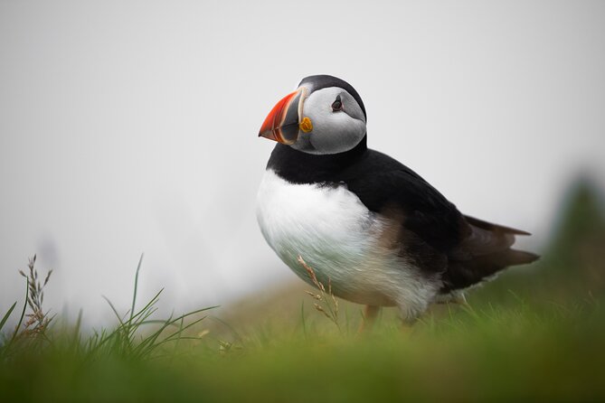 Mykines Private Hike and Tour Adventure - The memorial and optional extra walking