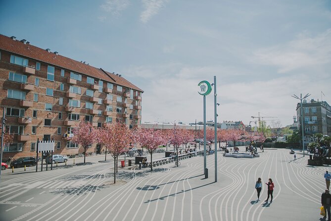 Nørrebro Neighborhood Tour - Key things to know before booking