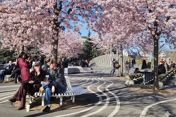 Nørrebro Walking Tour – The World’s Coolest Neighborhood - Key points to know before booking