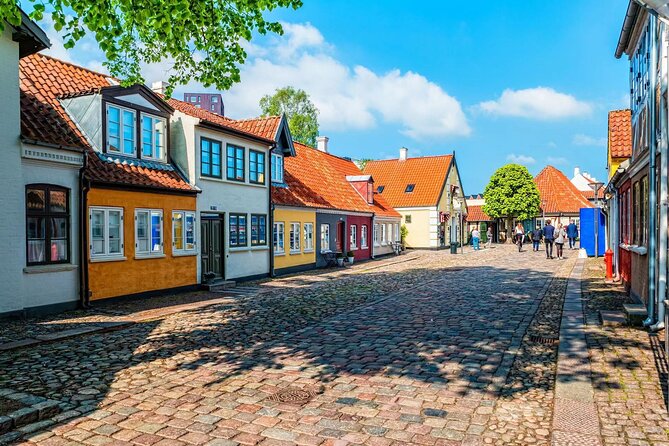 Odense Unveiled: A Timeless Private Tour - Who will get the most from this route?
