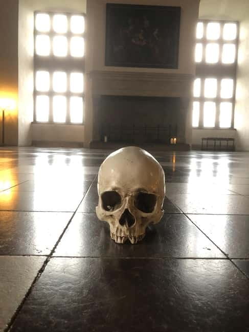 Out of Copenhagen; 2x Castles, Cathedral & (Viking Ships) - Key points to know before booking