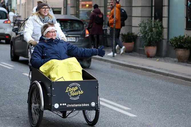 Private Copenhagen Family Cargo Bike Tour – Winter Adventure - Key points to know before you book