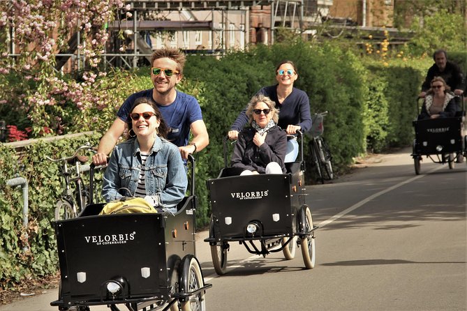 Private Copenhagen Family Cargo Bike Tour – Winter Adventure - Amalienborg Square and Copenhagen’s royal center