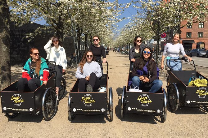 Private Copenhagen Family Cargo Bike Tour – Winter Adventure - Nyhavn, coffee, and the harbor crossing