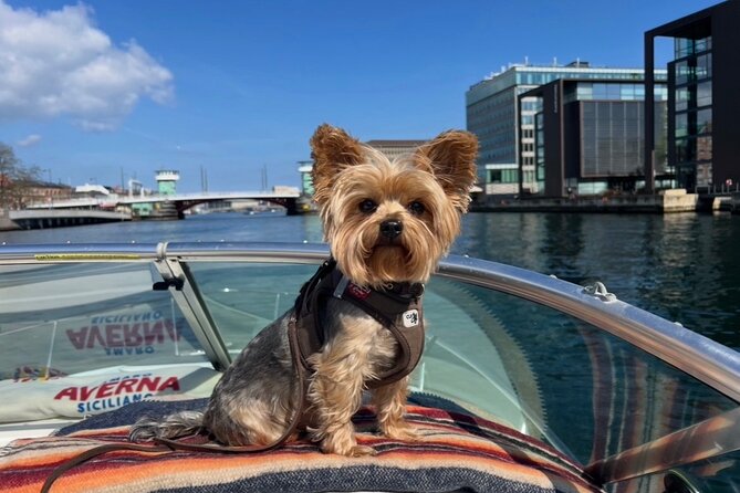 Private Copenhagen Tour with Gitzmo Boat - Thomas, Gitzmo, and the value of a private guide