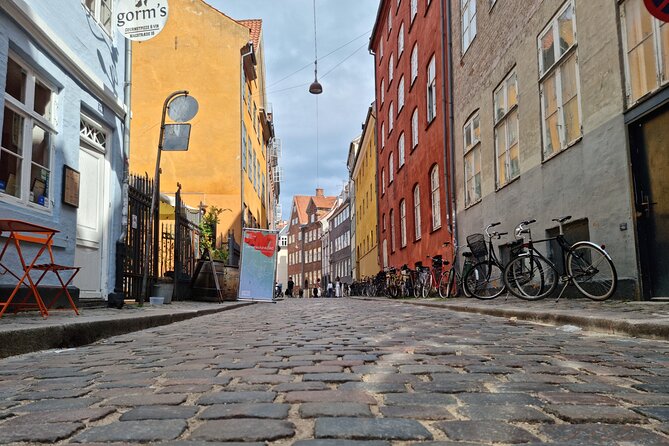 Private E-Biking Copenhagen History and Nature Adventures - What the guide adds to the experience