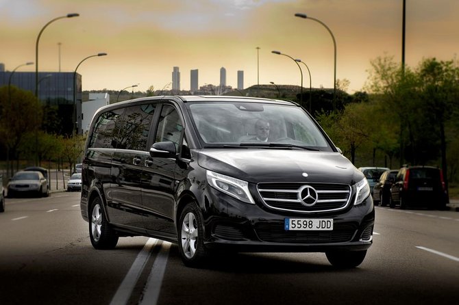 Private Luxury Van Departure from Copenhagen to Copenhagen Port - From Your Copenhagen Hotel to Oceankaj