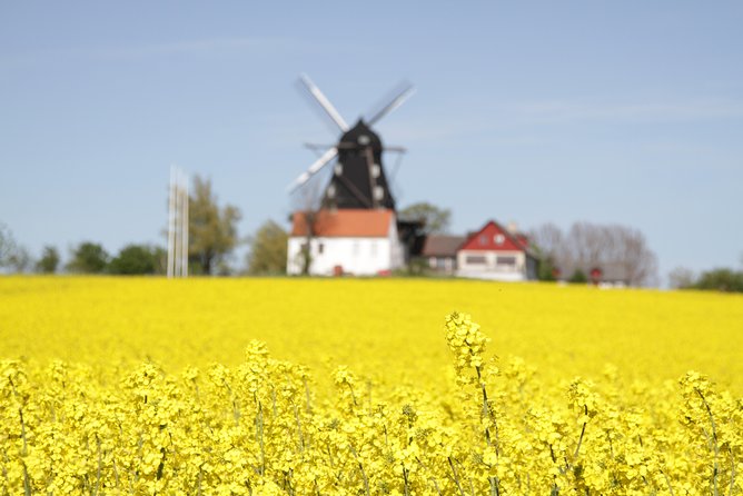 Private tour Copenhagen to Lund & Malmö City daytrip - Who should book this Sweden day trip?
