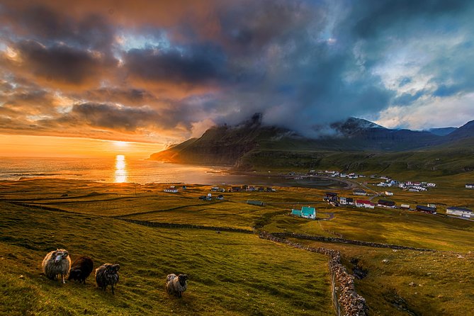 Súðuroy Island Day Tour, Faroe Islands - Famjin brings in village life and the Faroese flag
