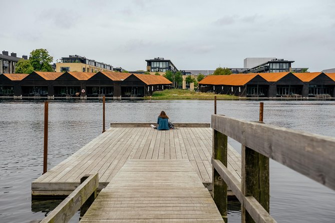 The Beauty of Copenhagen by Bike: Private Tour - What the $172.28 price really buys