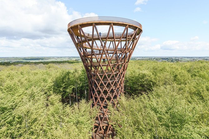 The Forest Tower and Forgotten Giants-A day tour from Copenhagen - Walking through the forest to the Forest Tower