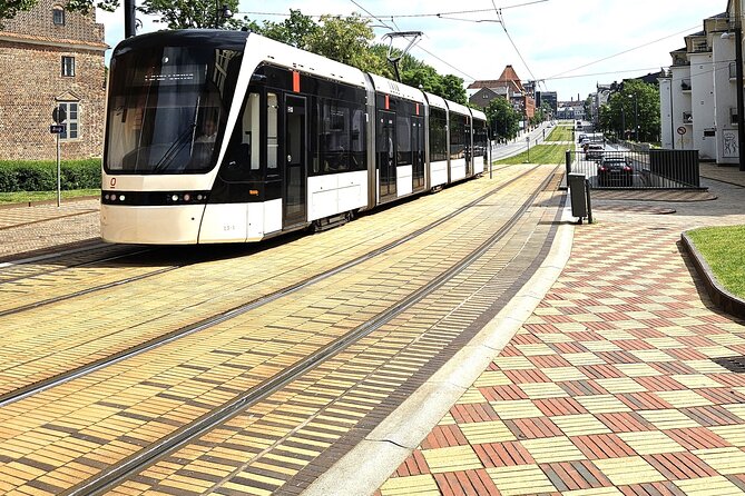 Two hour city tour through the new Odense - North Atlantic House and new cultural life